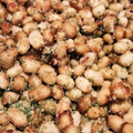 いもこ30's cooksnap of when they made ♡栄養満点！青のりの大豆炒め♡.