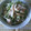 sachiushi's cooksnap of when they made ほうれん草とエノキだけのキムポンあえ.
