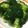 ㌧㌧ナデナデ's cooksnap of when they made ブロッコリーのにんにく茹で.