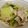 あ～ずん's cooksnap of when they made 白菜のオイスターソース煮.