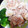 クックWHHCDU☆'s cooksnap of when they made 豚ひき肉と里芋の旨炒め.