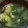 ヨシヨッシー's cooksnap of when they made 簡単☆時短☆あと一品☆卵ワカメのスープ.