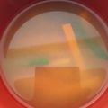 もりのりころ's cooksnap of when they made 切り干し大根のお味噌汁.