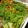 クックQ4TGOE☆'s cooksnap of when they made 出汁が美味しい!もつ鍋.