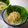 runa10's cooksnap of when they made 健康バツグン！！！大根サラダ.