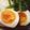 11:11ss's cooksnap of when they made 怪味ソース漬けの半熟卵.
