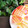 すななっこ's cooksnap of when they made 仮面ライダーエグゼイドのりんご飾り切り.