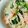 ☆めめめ★'s cooksnap of when they made サーモンとほうれん草のクリームパスタ.