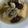 イチゴ、イチゴ。's cooksnap of when they made 牡蠣と厚揚げの味噌煮.