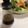 あっきぃの好奇心's cooksnap of when they made 簡単　和風ドレッシング　黒酢　しょうがで.