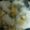 ma___111's cooksnap of when they made 竹田の油揚げとじゃこの混ぜご飯.
