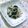 ねっちゃんっ's cooksnap of when they made 簡単　酢の物！.