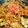 ゆーちゃん？'s cooksnap of when they made 市販のソース焼きそば.