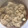 ゆうこりんp's cooksnap of when they made 元気の素♪白子の煮付け.