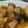 sakipa2's cooksnap of when they made ☆簡単☆とろとろ角煮☆圧力鍋無し☆.