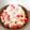 soajaja's cooksnap of when they made 簡単！食パンで☆１歳の誕生日ロールケーキ.