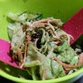 クックTSILSL☆'s cooksnap of when they made 胡麻たっぷりシャキシャキサラダ.