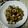 BAYbetty's cooksnap of when they made ちくわの磯辺揚げ…いや、炒めちゃいました.
