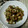 BAYbetty's cooksnap of when they made ちくわの磯辺揚げ…いや、炒めちゃいました.