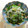 ☆Rokko☆'s cooksnap of when they made ほうれん草と糸こんにゃくのくるみ和え.