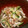 jscyj673's cooksnap of when they made 居酒屋風♪鶏ささみとザーサイのねぎナムル.