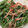 a0024755's cooksnap of when they made かにかまとインゲンのマヨポン和え.