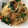 クックRJJ7XY☆'s cooksnap of when they made 桜えびとシラスとほうれん草のパスタ★.
