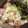 まいぬい's cooksnap of when they made ◉簡単もも肉の万能ネギ塩だれ.