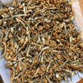 はるまに's cooksnap of when they made くるみ入り♪田作り.