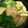 ☆ありか358☆'s cooksnap of when they made すき焼きの割り下.