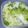 ☆ありか358☆'s cooksnap of when they made 白菜の浅漬け.