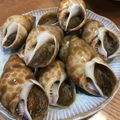 子ぶたﾁｬﾝ's cooksnap of when they made ばい貝の煮付け.