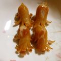 ぶどうなすび's cooksnap of when they made お弁当☆たこウインナー星人？.