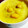 カツりん's cooksnap of when they made 上品な甘さ 栗きんとん.