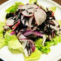 Meguminomy's cooksnap of when they made ラディッシュと玉ねぎのひじきさっぱり和え.