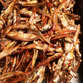 kazumiのLAキッチン's cooksnap of when they made 簡単田作り♪♪。.
