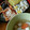 kam嫁's cooksnap of when they made 簡単ギザギザお花のゆでたまご.