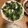 a0imama♡'s cooksnap of when they made 小松菜とちくわの胡麻和え.