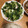 a0imama♡'s cooksnap of when they made 小松菜とちくわの胡麻和え.