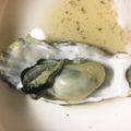茄子母's cooksnap of when they made ☆レンジで生牡蠣.