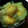 くろねこのまる's cooksnap of when they made お芋も美味しい栗きんとん.