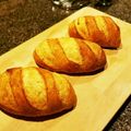 13arbi3's cooksnap of when they made なんちゃんて☆ハニーオーツ☆.