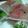 sayav-.-v.'s cooksnap of when they made 生ハムと水菜のくるくるサラダ♫.