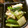 ふ〜あちゃん's cooksnap of when they made ☆小松菜と白菜の塩昆布漬け☆.