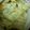 ma___111's cooksnap of when they made バジルのタルタルソース＊魚やフライに.