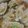 ぷららら★'s cooksnap of when they made だし汁たっぷり♪高野豆腐の詰め煮.