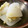 ＊実月＊'s cooksnap of when they made 大根と薄揚げの中華風炒め煮.
