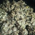 クックZ3Y36G☆'s cooksnap of when they made 小分けしておくと便利◇雑穀米炊いただけ.