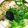 クックSG4UXE☆'s cooksnap of when they made 出汁が美味しい!もつ鍋.