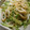 keesan's cooksnap of when they made ちくわときゅうりのごまポン和え.